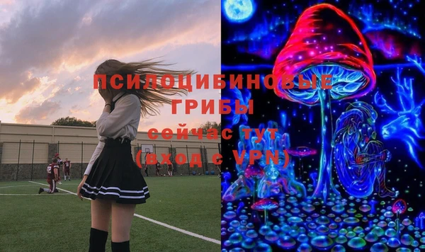 ALPHA PVP Алексин
