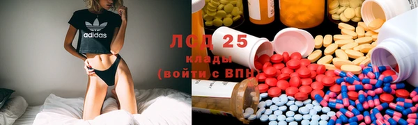 эйфоретик Алзамай