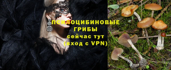 эйфоретик Алзамай