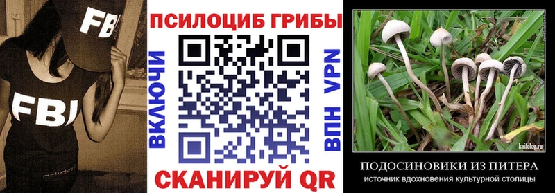 дарнет шоп  Лесосибирск  Галлюциногенные грибы мицелий 
