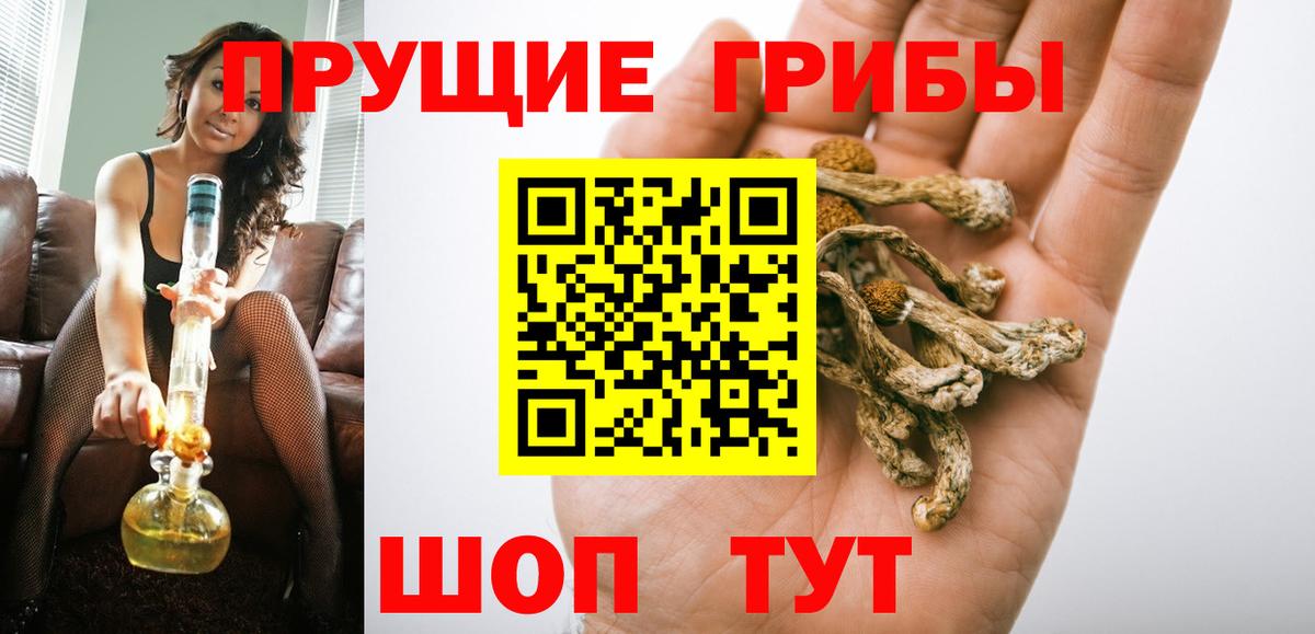 Псилоцибиновые грибы MAGIC MUSHROOMS  купить   Лесосибирск  Вход с VPN 
