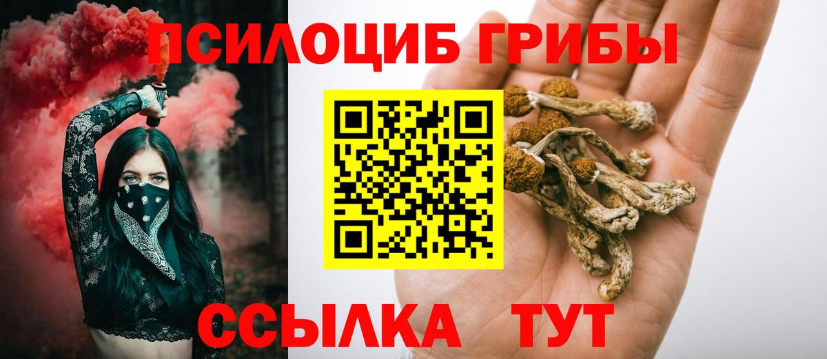Галлюциногенные грибы Psilocybe Лесосибирск