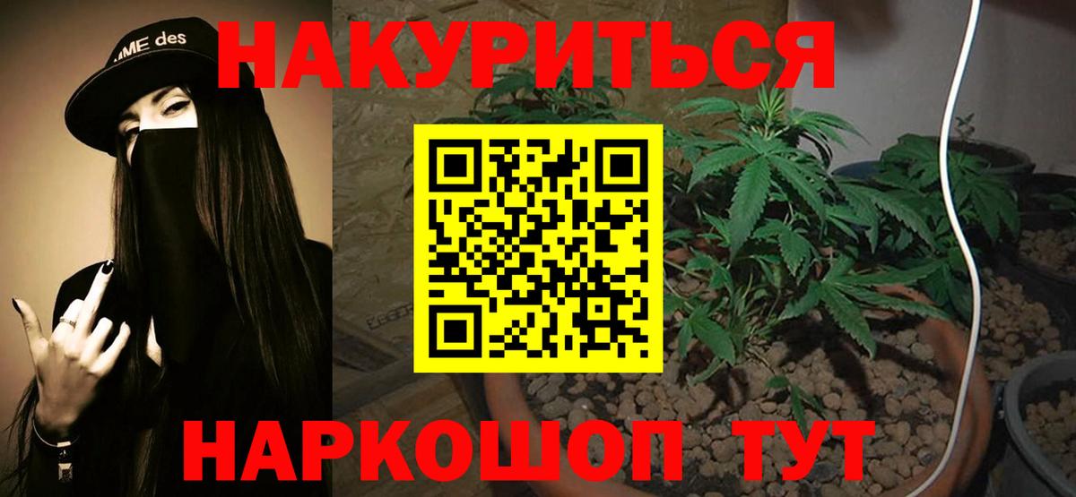 Бошки Шишки ГИДРОПОН  Каннабис Amnesia  Вход с VPN  Лесосибирск 